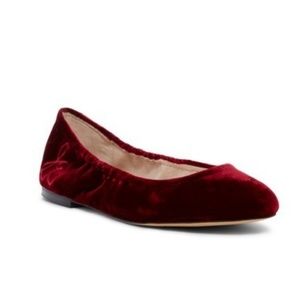 NEW! Sam Edelman Fritz Velvet Ballet Flats